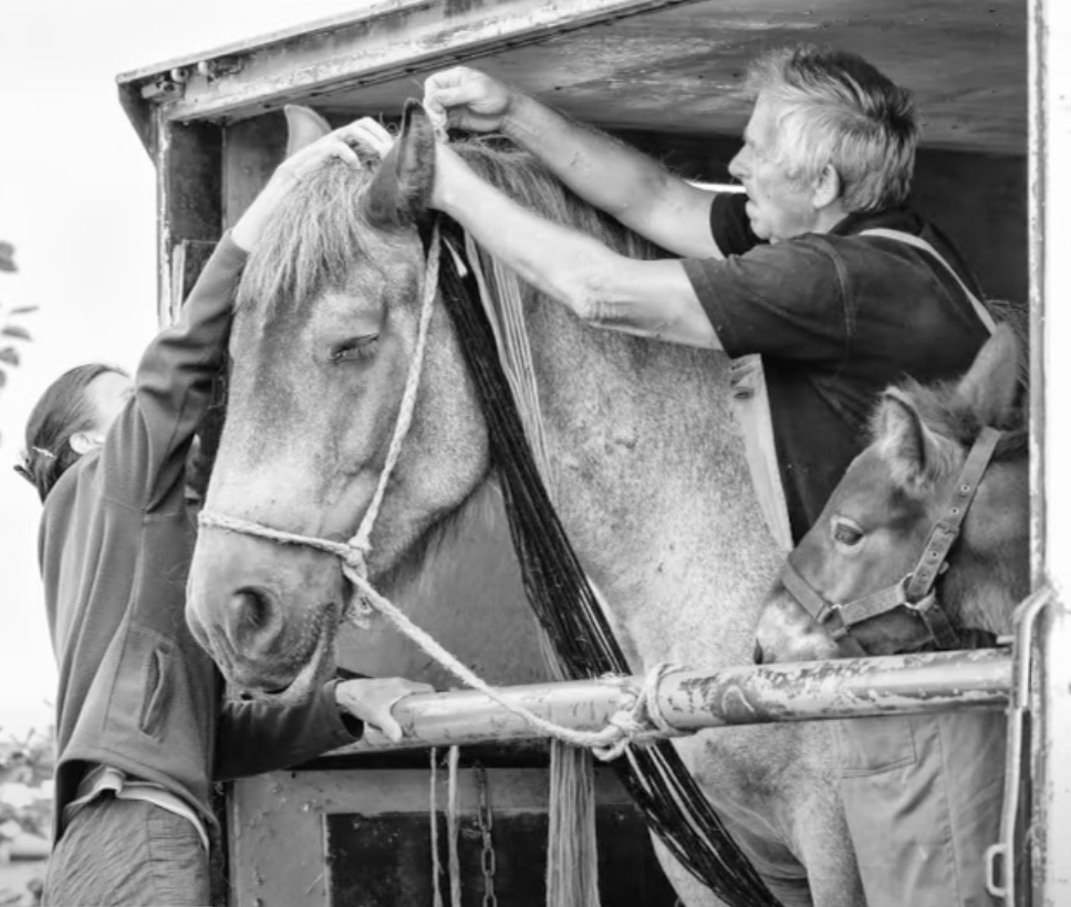 100 jaar Pakov. Een overzicht in foto’s.