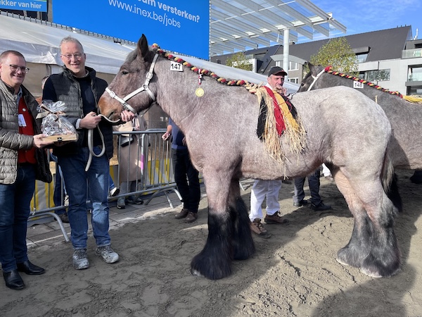 Houtem 2024 — Uitslag en foto’s.